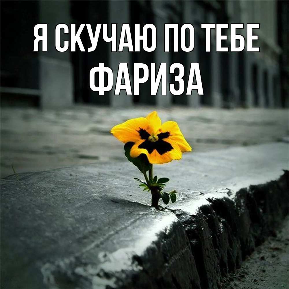 Открытка  с именем. Фариза, Я скучаю по тебе  