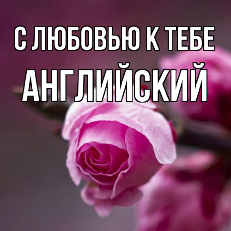 Картинка С любовью к тебе, Английский