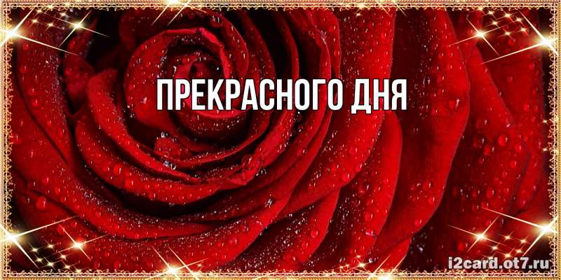 Картинка Прекрасного дня, 