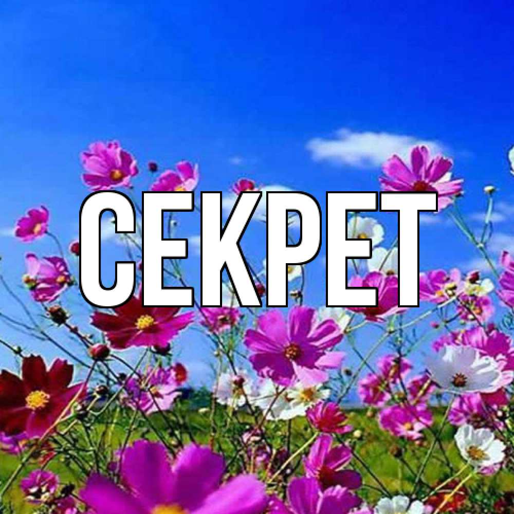 Открытка  с именем. Секрет, Главная  