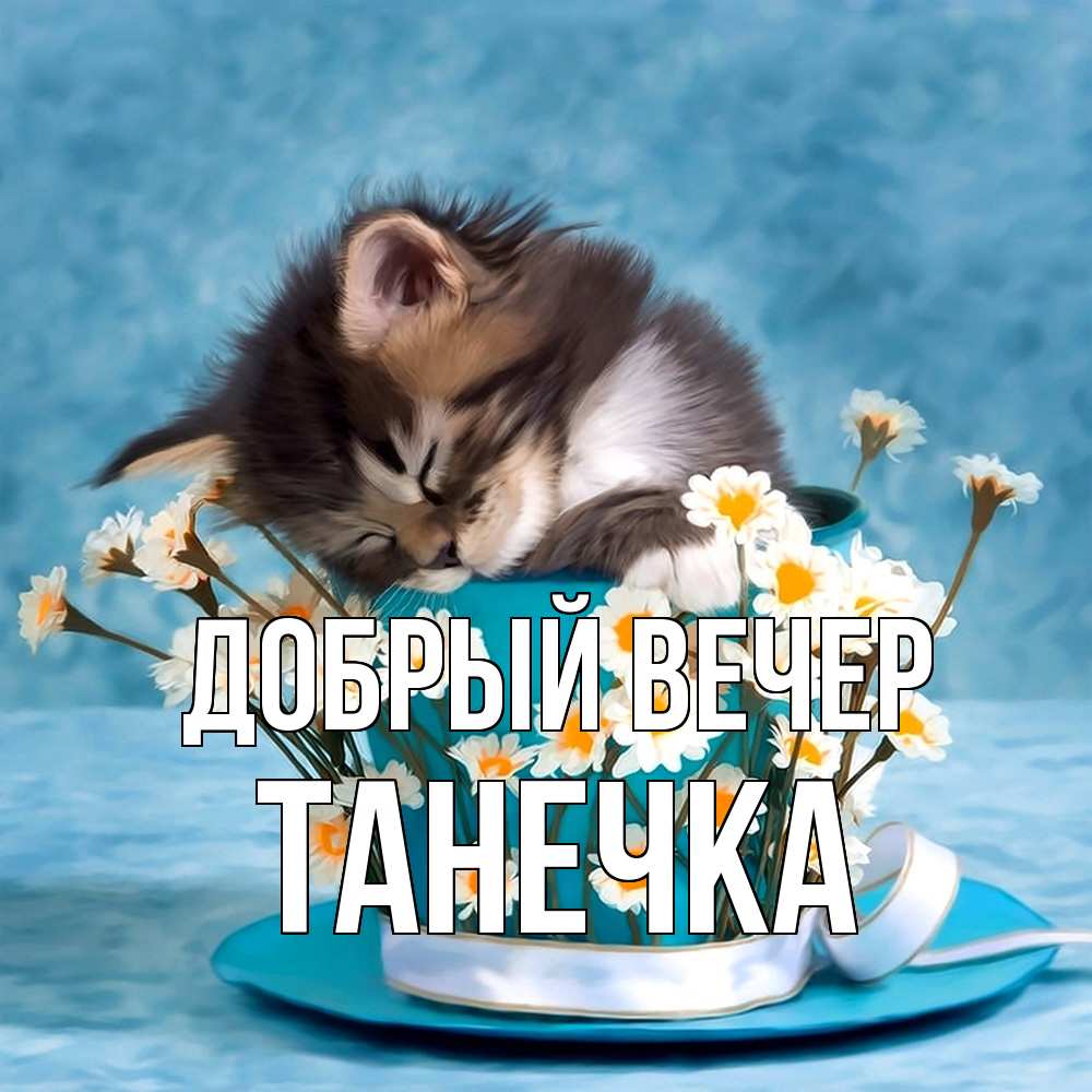 Открытка  с именем. Танечка, Добрый вечер  