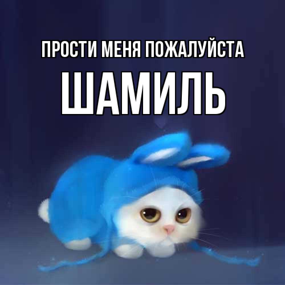 Открытка  с именем. Шамиль, Прости меня пожалуйста  