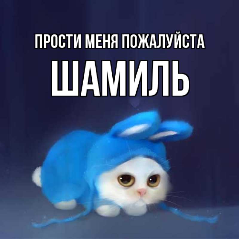 Картинка Прости меня пожалуйста, Шамиль