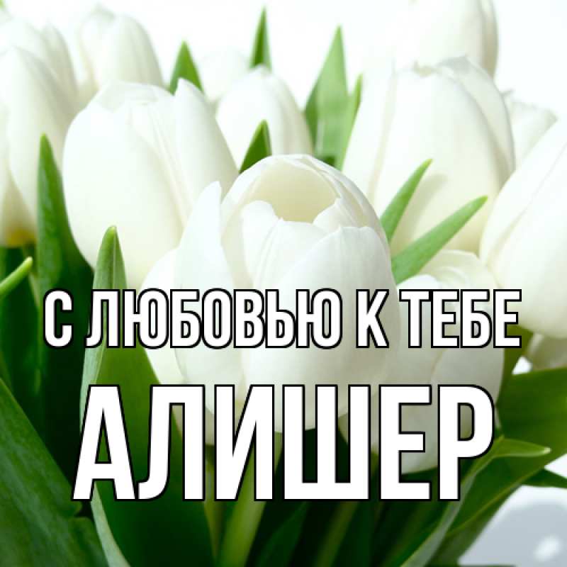 Картинка С любовью к тебе, Алишер