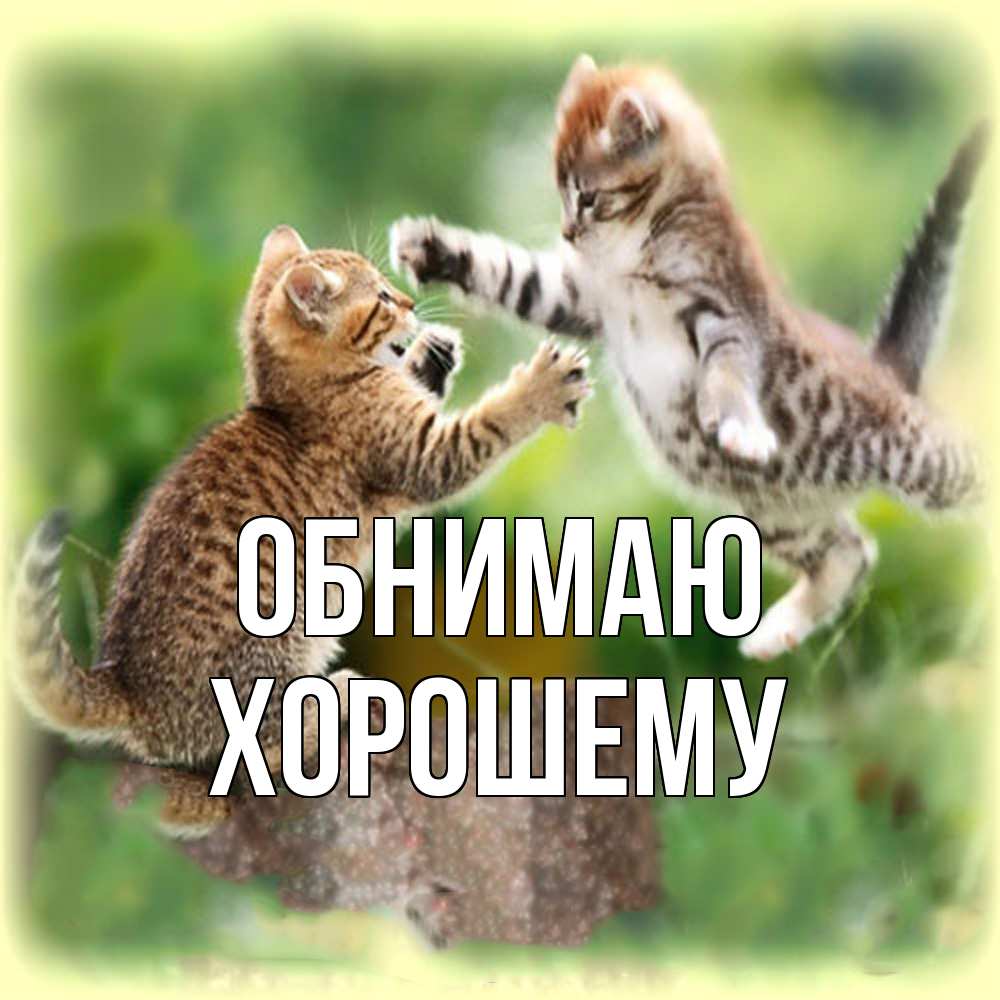 Открытка  с именем. Хорошему, Обнимаю  