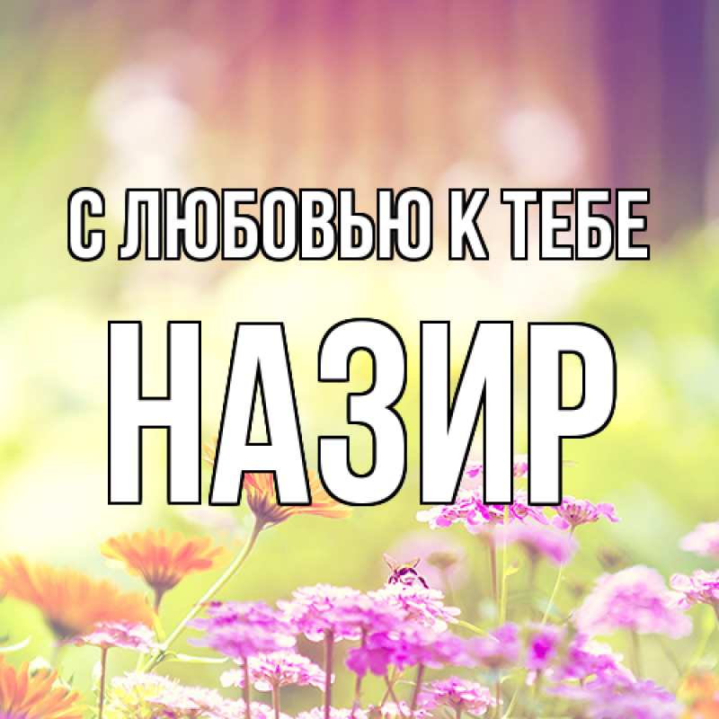 Картинка С любовью к тебе, Назир