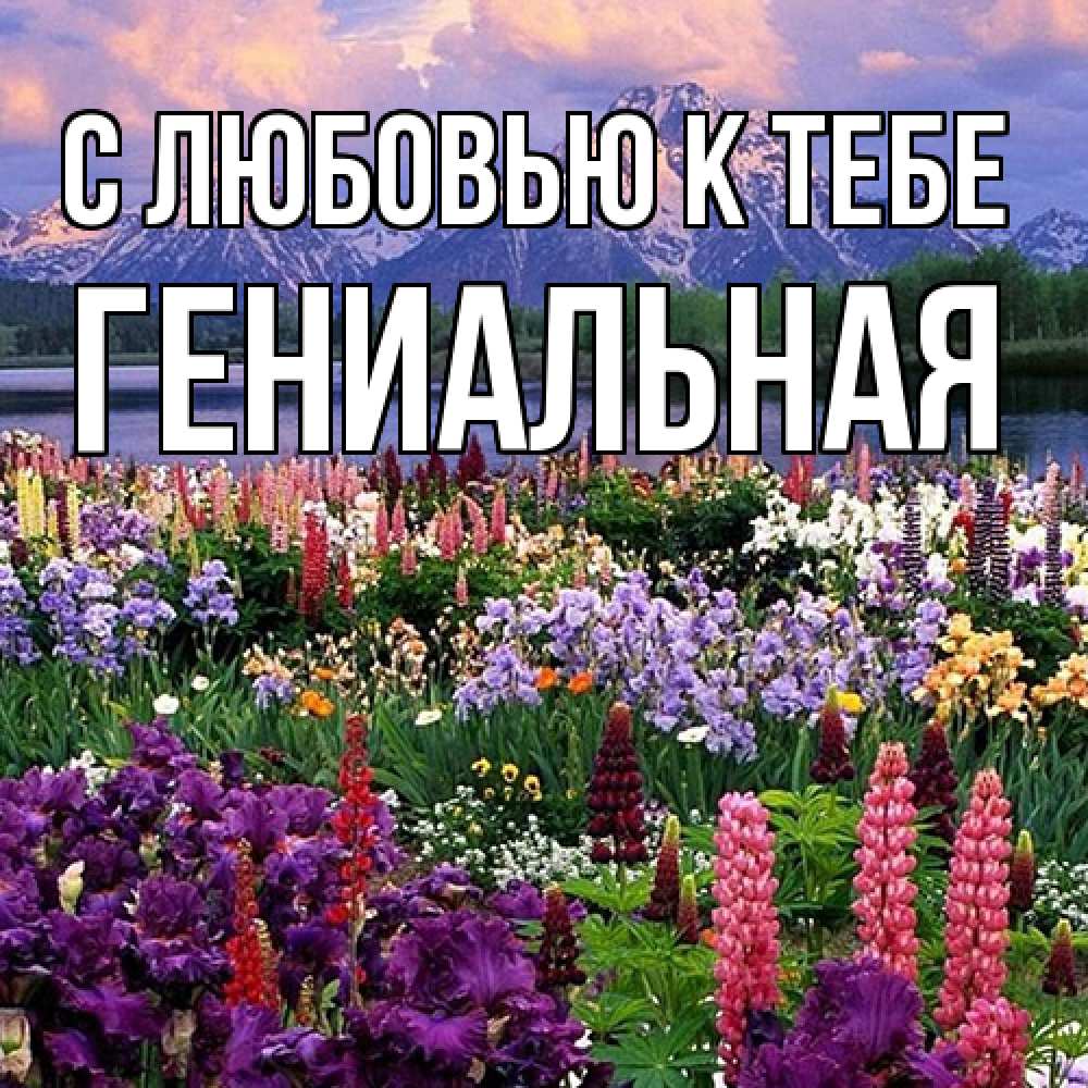 Открытка  с именем. Гениальная, С любовью к тебе  