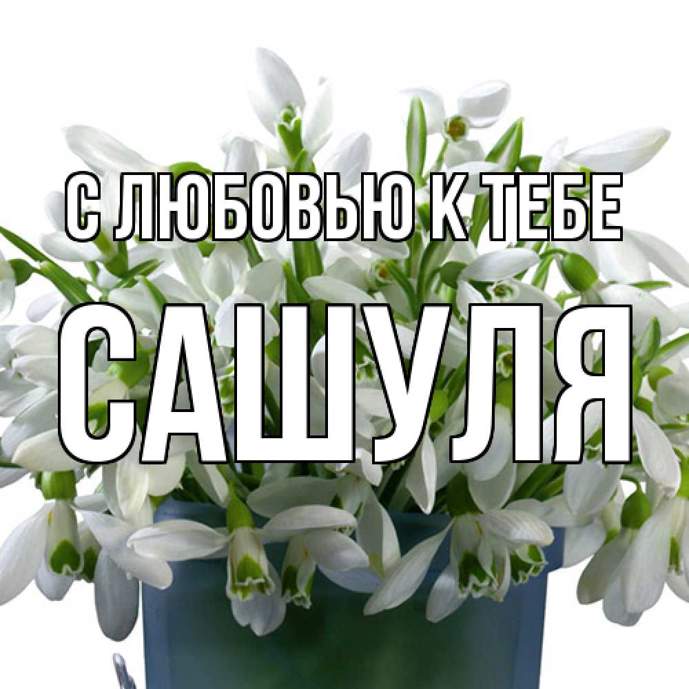 Открытка  с именем. Сашуля, С любовью к тебе  