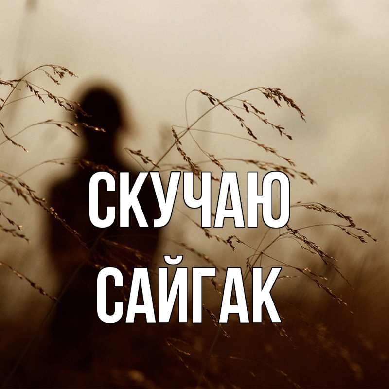 Открытка с именем, Сайгак, Скучаю