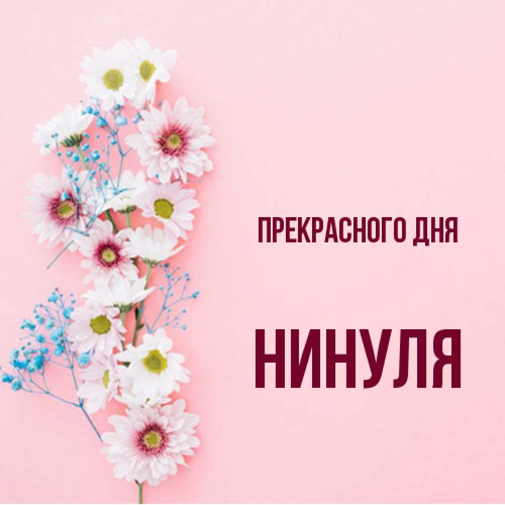 Открытка  с именем. Нинуля, Прекрасного дня  