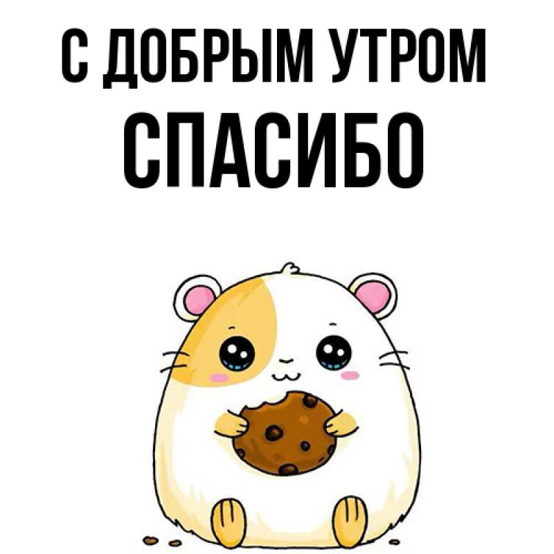 Картинка С добрым утром, СПАСИБО