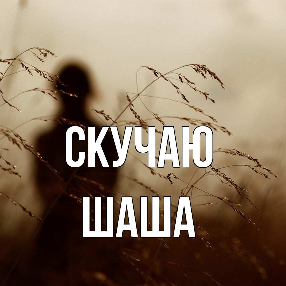 Открытка  с именем. Шаша, Скучаю  