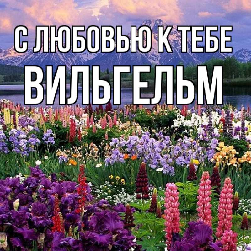 Картинка С любовью к тебе, Вильгельм