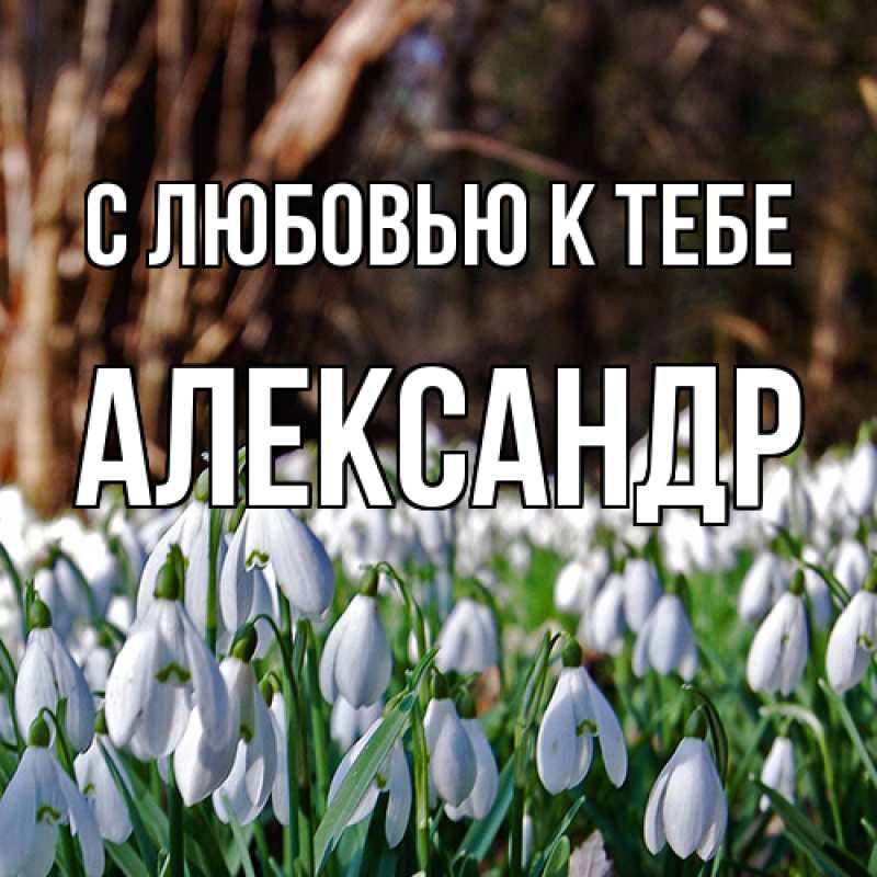 Картинка С любовью к тебе, Александр