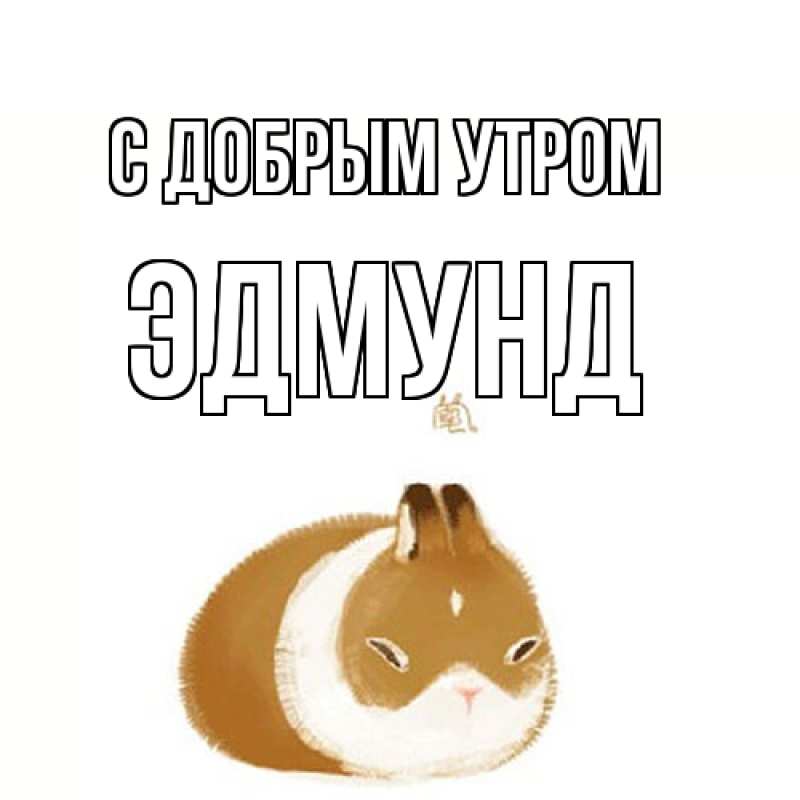 Картинка С добрым утром, Эдмунд