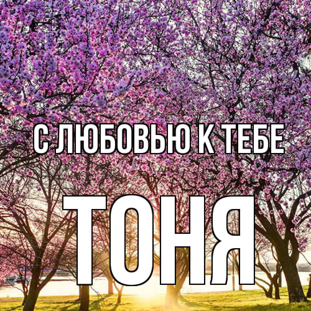 Открытка  с именем. Тоня, С любовью к тебе  