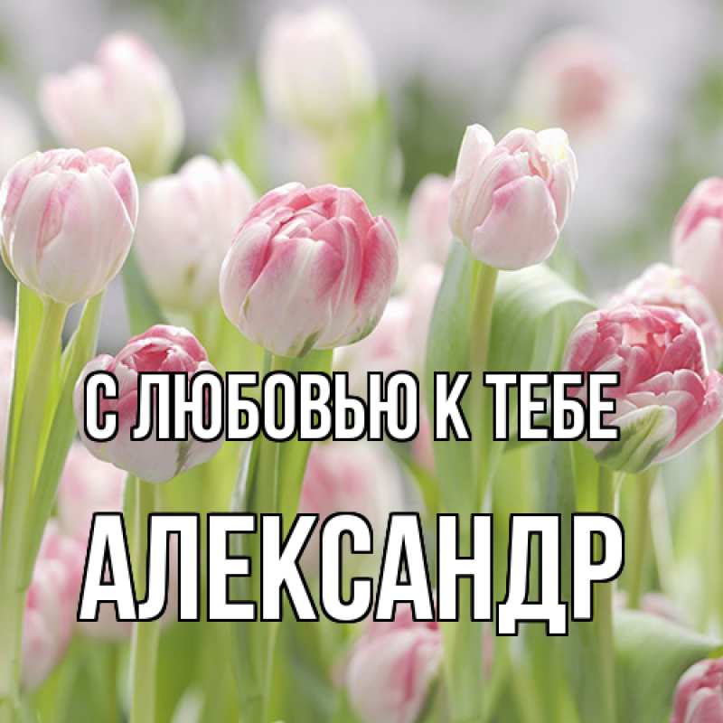 Картинка С любовью к тебе, Александр