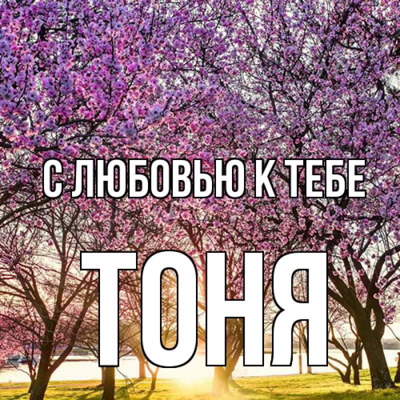 Картинка С любовью к тебе, Тоня