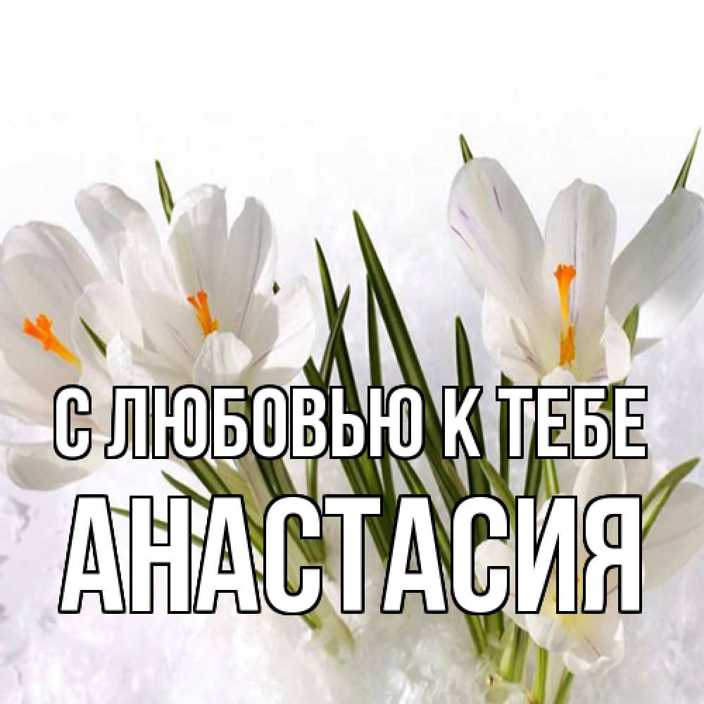 Открытка  с именем. Анастасия, С любовью к тебе  
