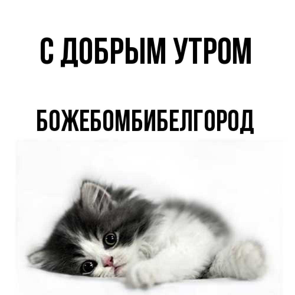 Открытка  с именем. божебомбибелгород, С добрым утром  