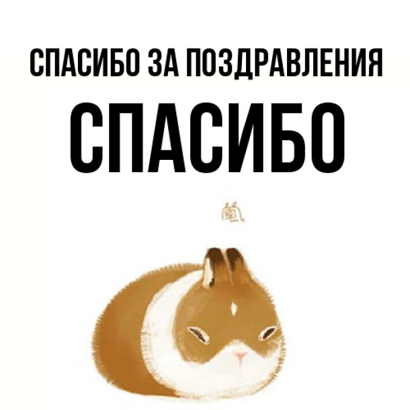 Картинка Спасибо за поздравления, СПАСИБО