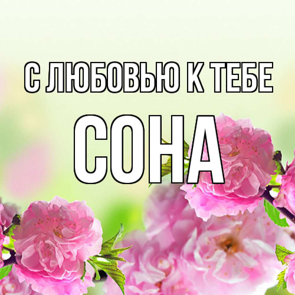 Открытка  с именем. СОНА, С любовью к тебе  