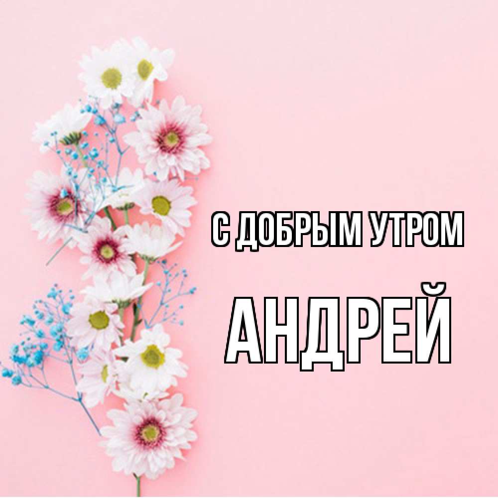 Открытка  с именем. Андрей, С добрым утром  