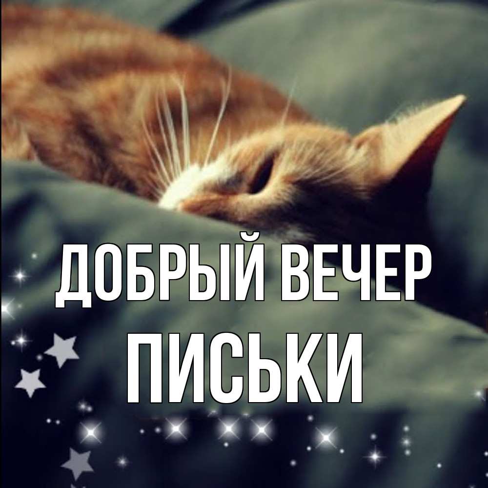 Открытка  с именем. Письки, Добрый вечер  