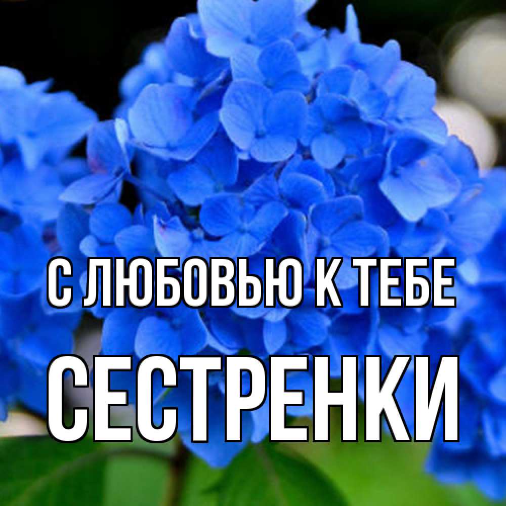 Открытка  с именем. Сестренки, С любовью к тебе  