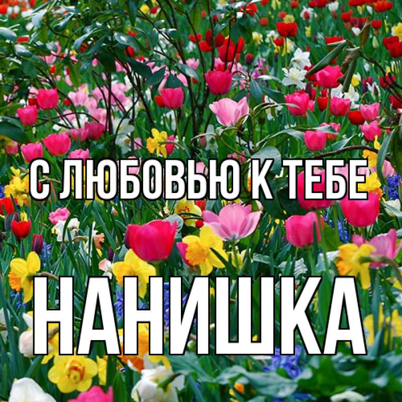 Картинка С любовью к тебе, Нанишка