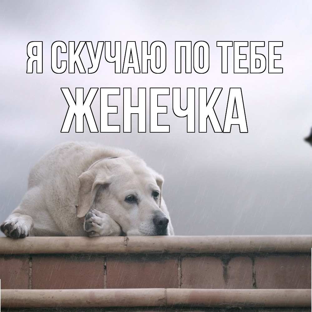 Открытка  с именем. Женечка, Я скучаю по тебе  