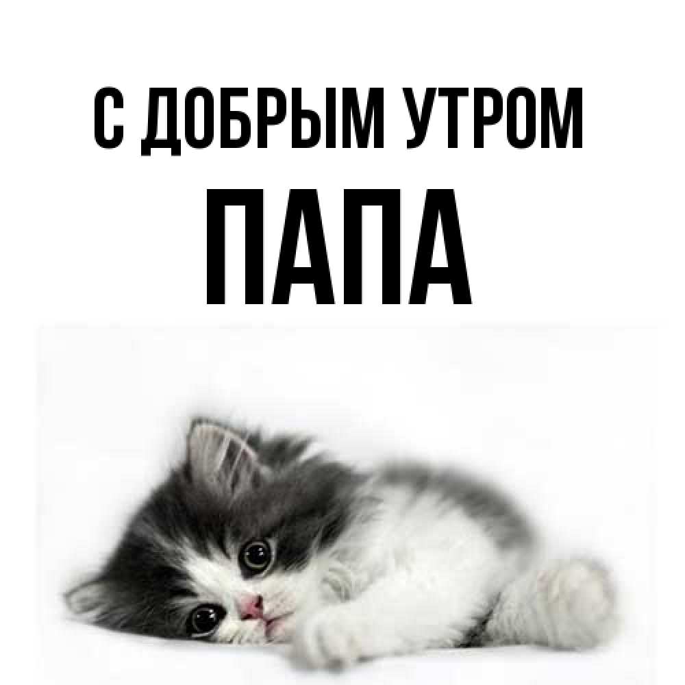 Открытка  с именем. Папа, С добрым утром  