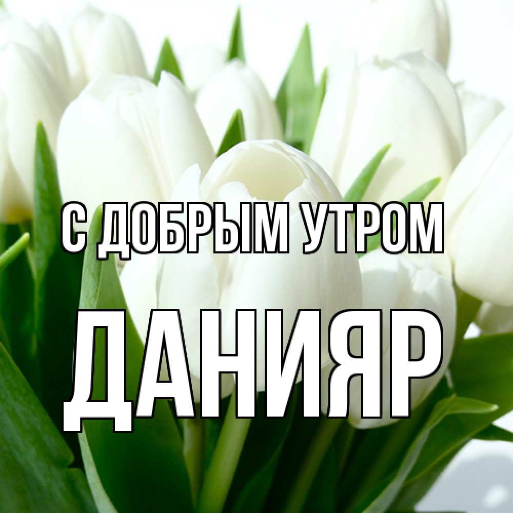 Открытка  с именем. Данияр, С добрым утром  