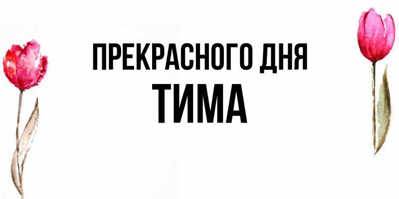 Картинка Прекрасного дня, Тима