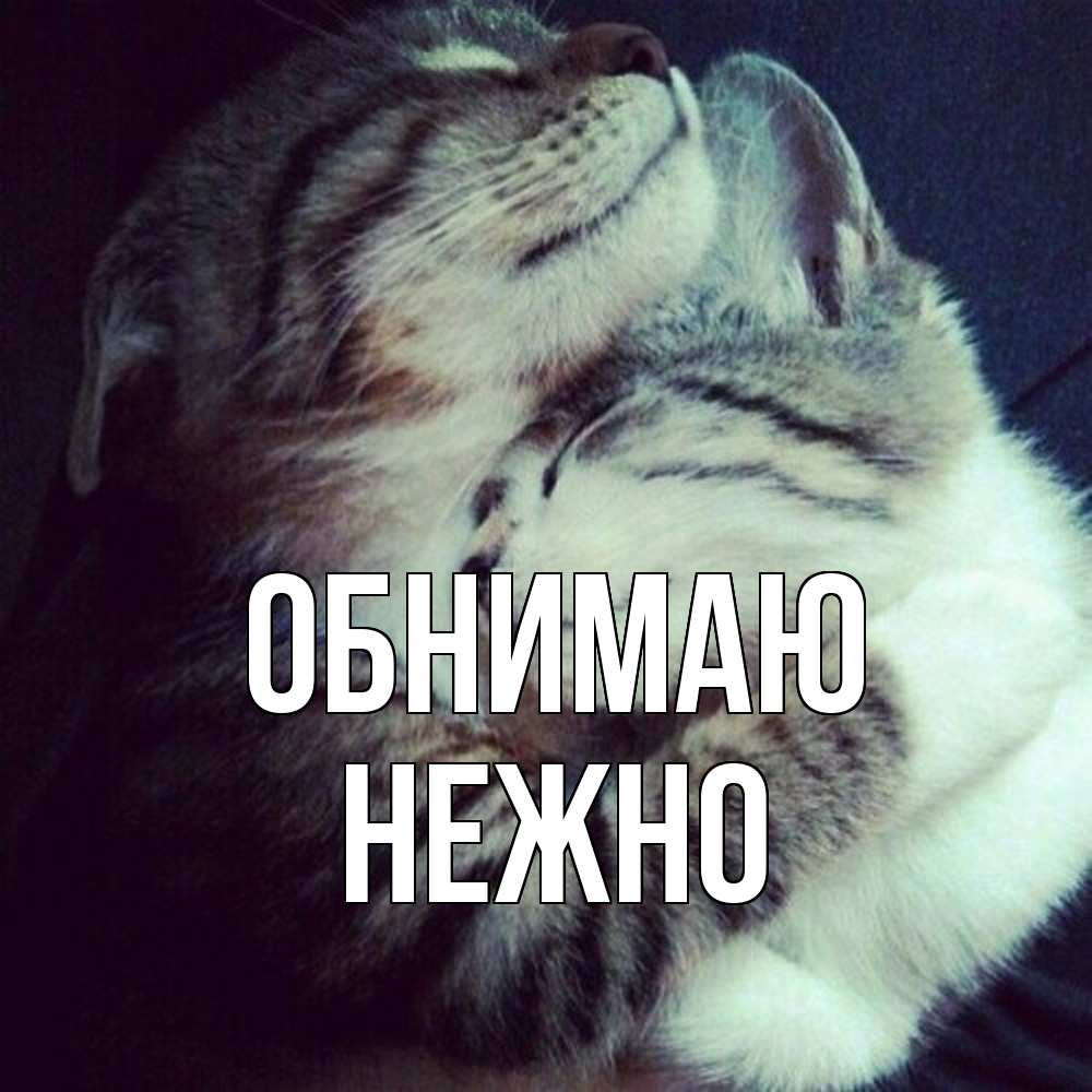 Открытка  с именем. Нежно, Обнимаю  
