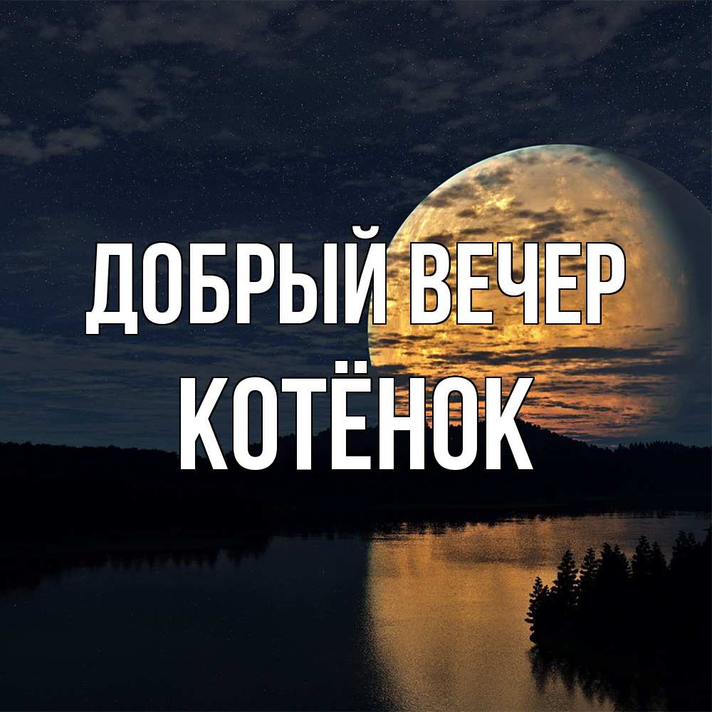 Открытка  с именем. Котёнок, Добрый вечер  