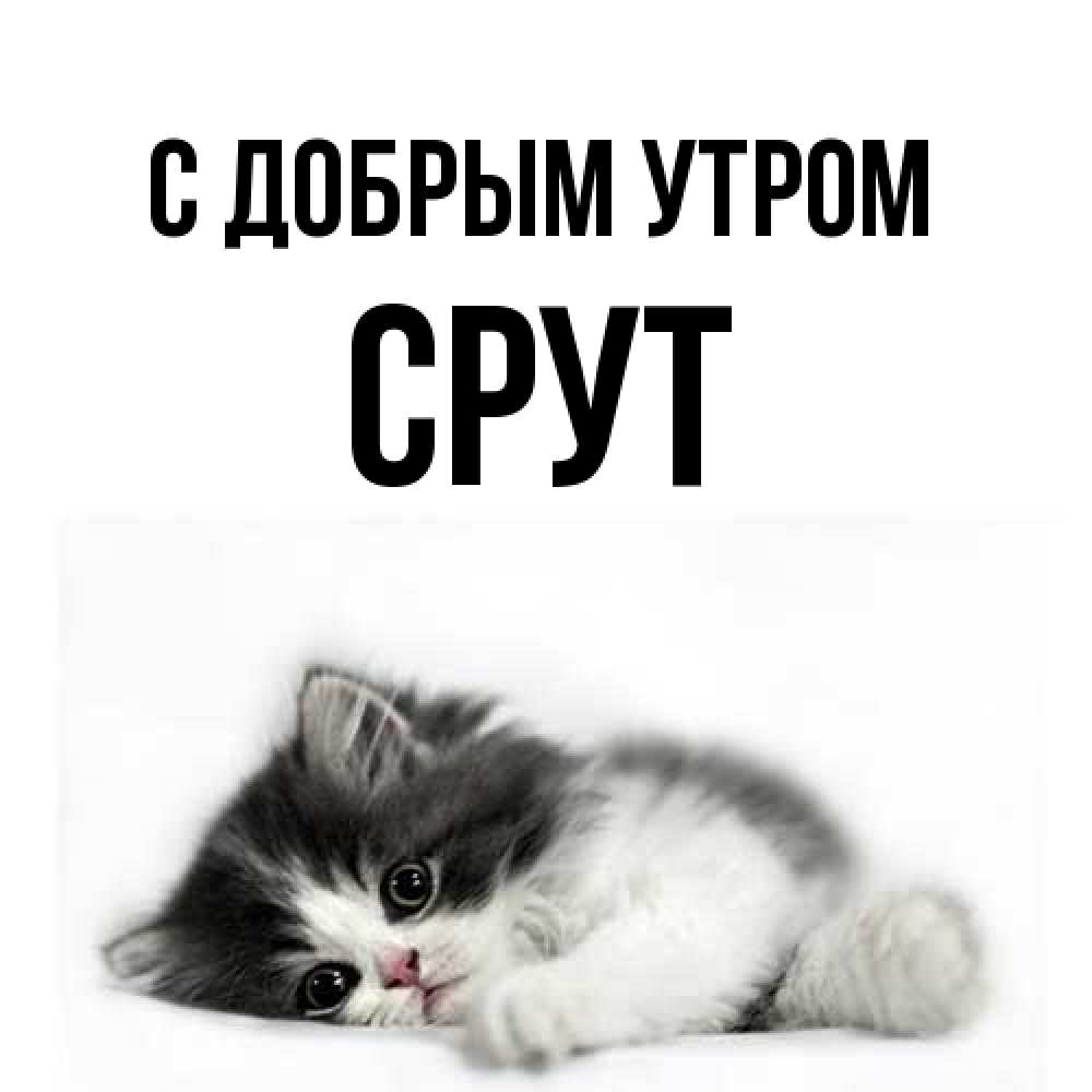 Открытка  с именем. срут, С добрым утром  