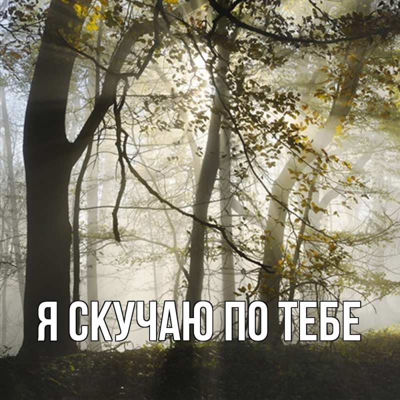Картинка Я скучаю по тебе, 