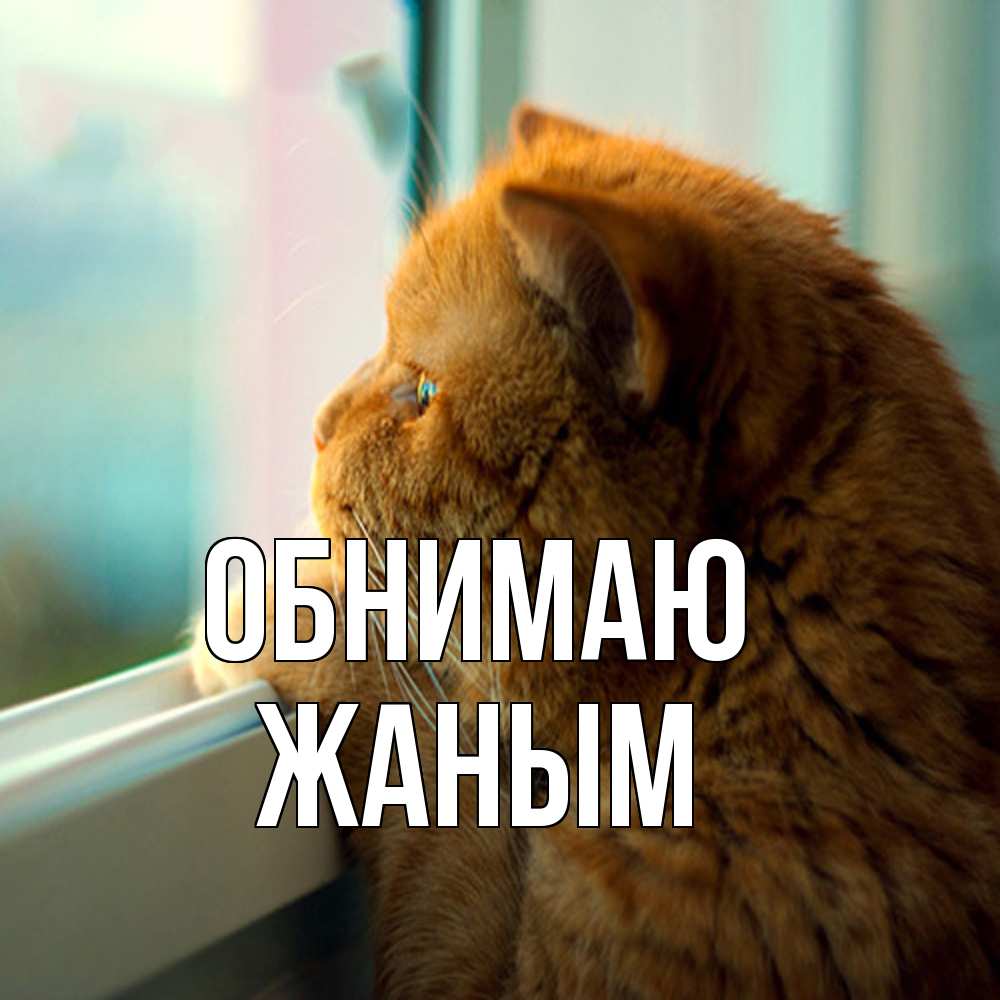 Открытка  с именем. Жаным, Обнимаю  