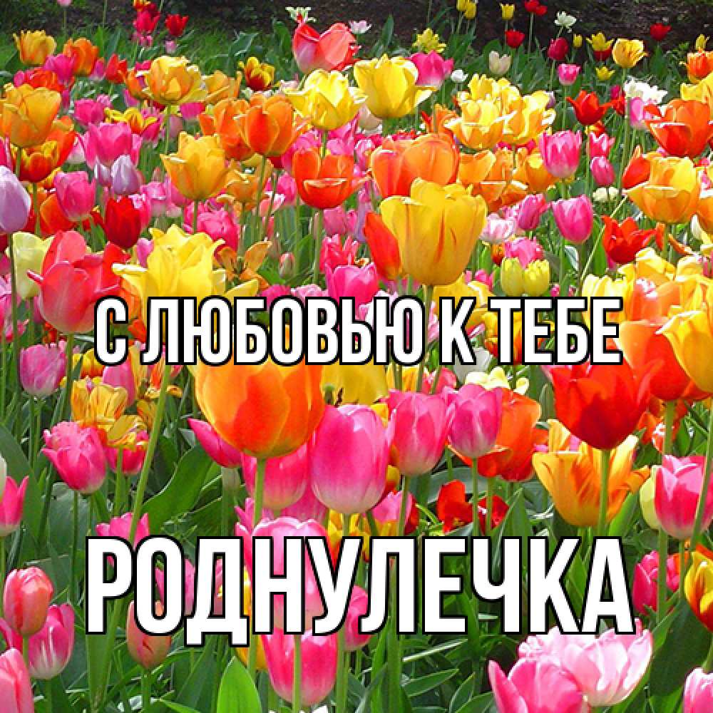 Открытка  с именем. Роднулечка, С любовью к тебе  