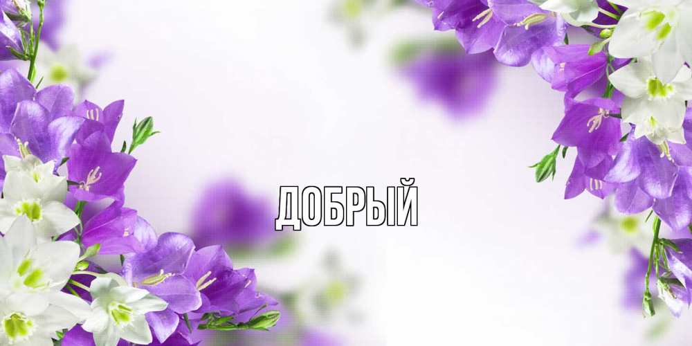 Открытка  с именем. Добрый, Главная  