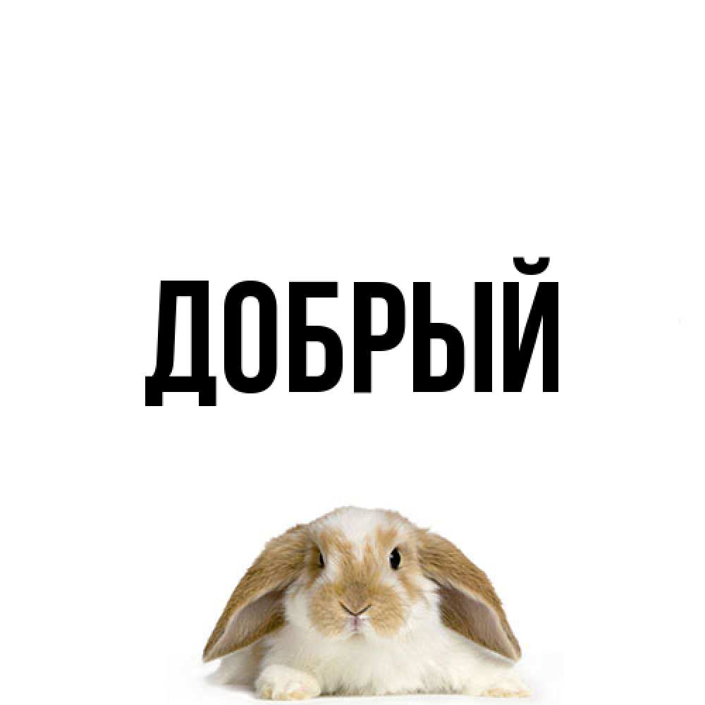 Открытка  с именем. Добрый, Главная  