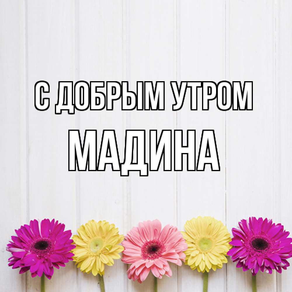 Открытка  с именем. Мадина, С добрым утром  