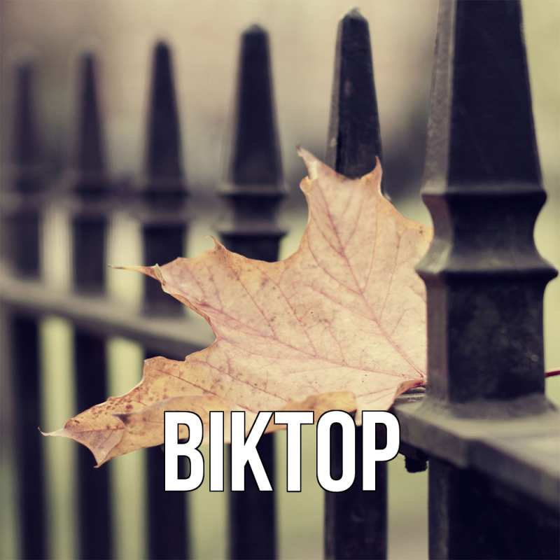 Картинка  с именем , Віктор