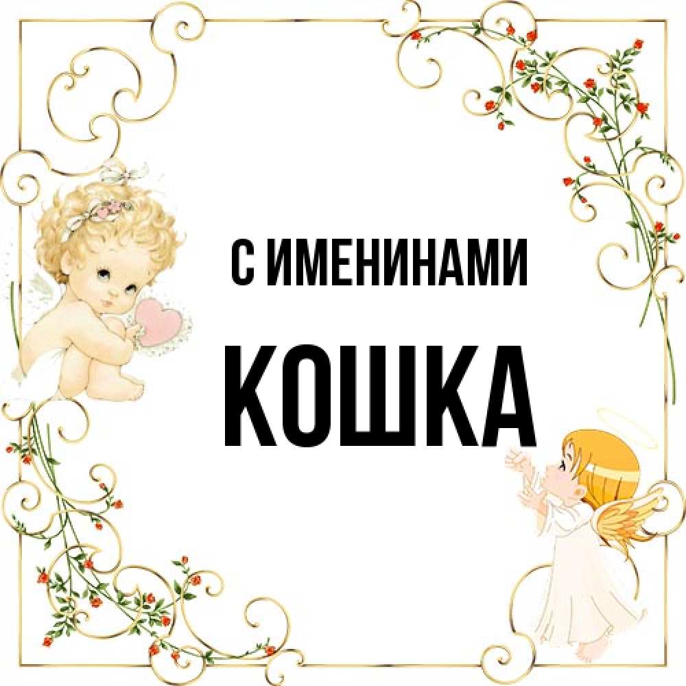 Открытка  с именем. Кошка, С именинами  