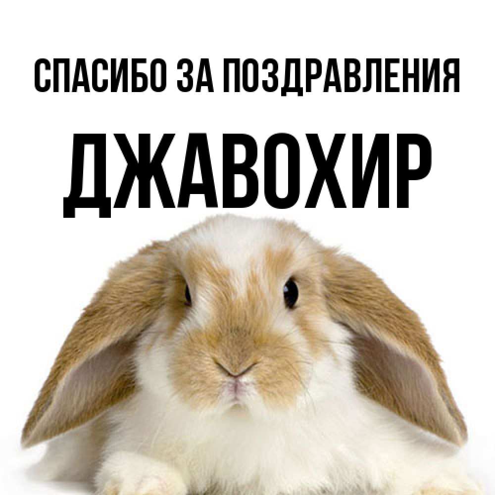 Открытка  с именем. Джавохир, Спасибо за поздравления  