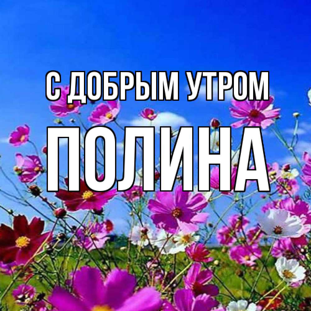 Открытка  с именем. Полина, С добрым утром  