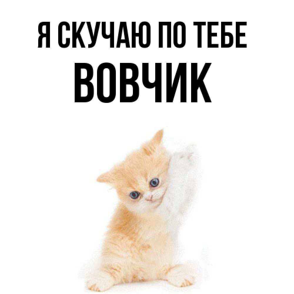 Открытка  с именем. вовчик, Я скучаю по тебе  