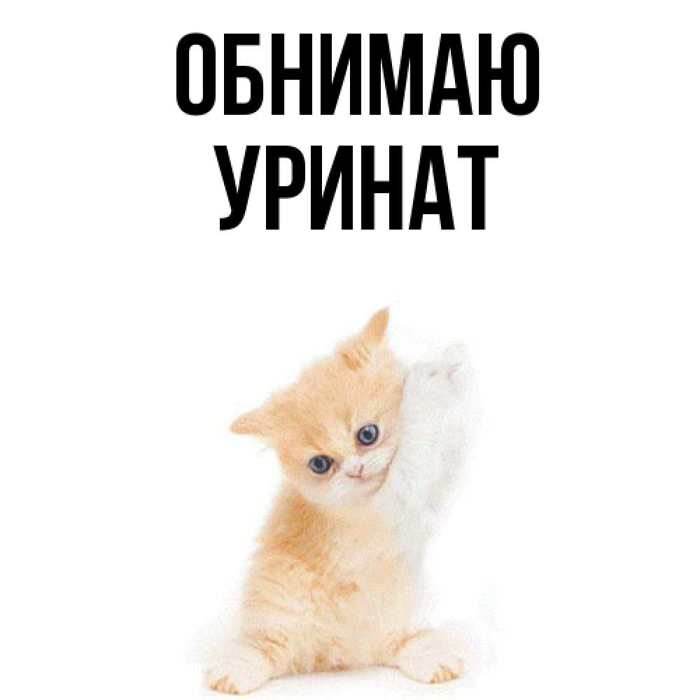 Открытка  с именем. уРинат, Обнимаю  