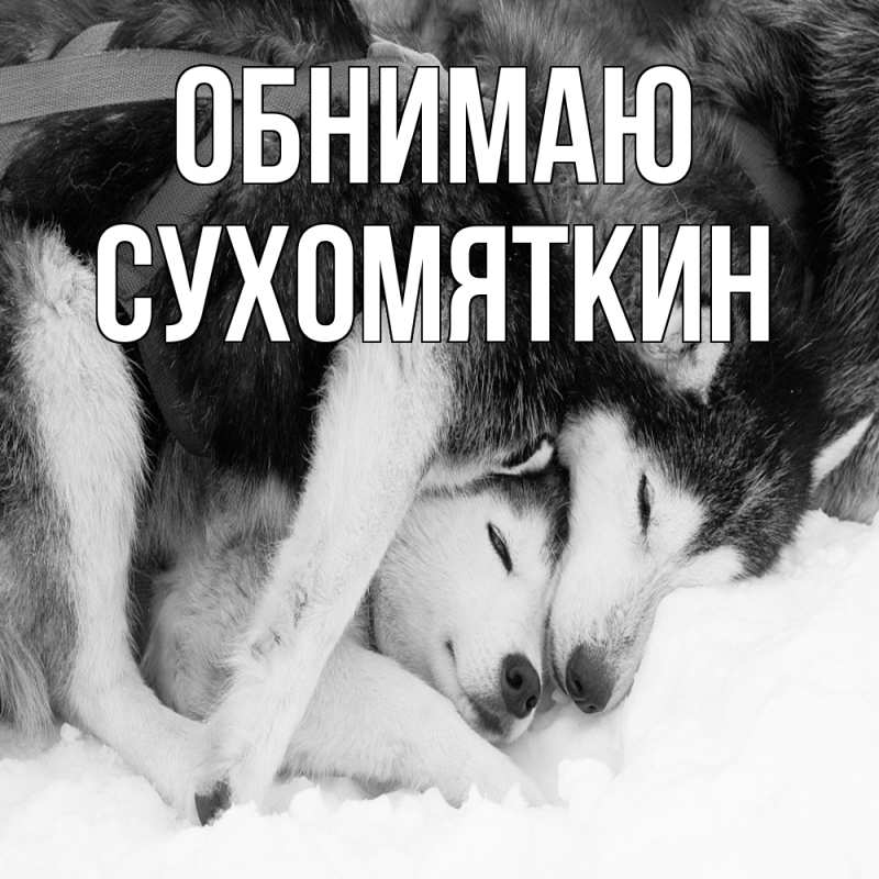 Картинка Обнимаю, Сухомяткин